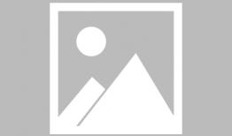 娱乐圈吃瓜小说完结文,瓜田里的秘密花园