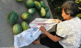 吴忠吃瓜最新事件爆料,揭秘背后惊人真相